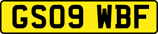 GS09WBF