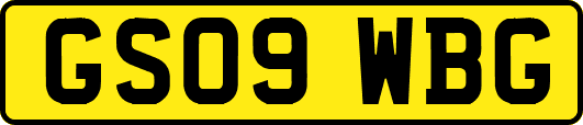 GS09WBG