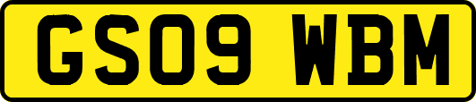 GS09WBM