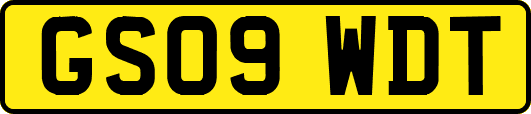 GS09WDT