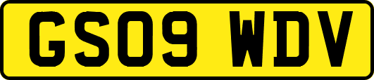 GS09WDV