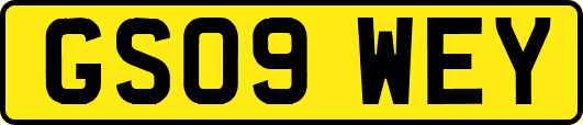 GS09WEY
