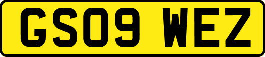 GS09WEZ