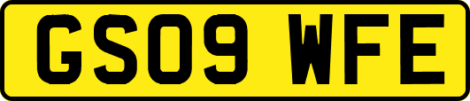 GS09WFE