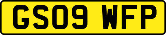 GS09WFP