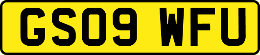 GS09WFU
