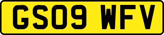 GS09WFV