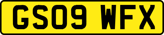 GS09WFX