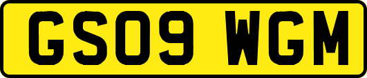 GS09WGM