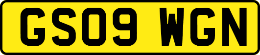 GS09WGN