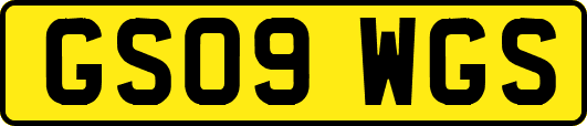 GS09WGS