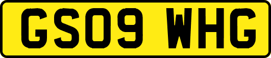 GS09WHG