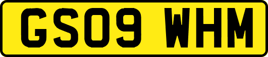 GS09WHM