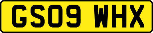 GS09WHX