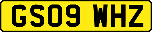 GS09WHZ