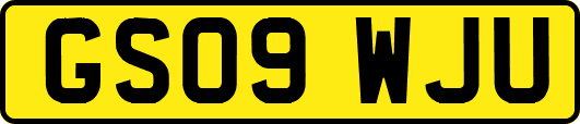 GS09WJU