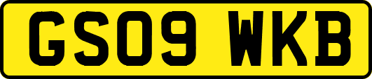 GS09WKB