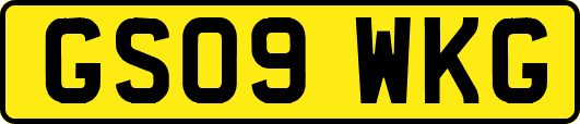GS09WKG