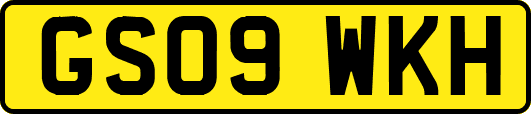 GS09WKH