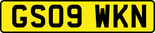GS09WKN