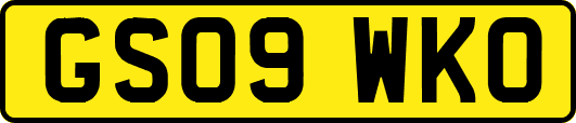 GS09WKO