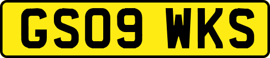 GS09WKS