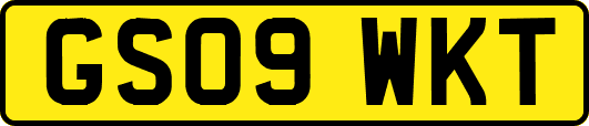 GS09WKT