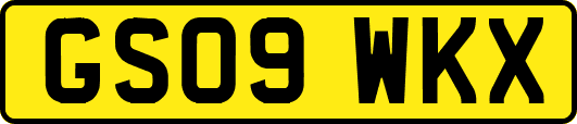 GS09WKX