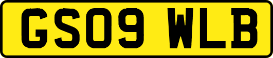 GS09WLB