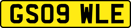 GS09WLE