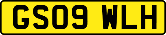 GS09WLH