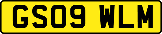 GS09WLM