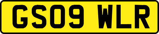 GS09WLR