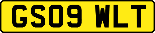 GS09WLT