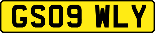 GS09WLY