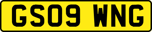 GS09WNG