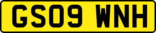 GS09WNH