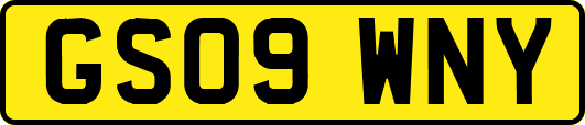 GS09WNY