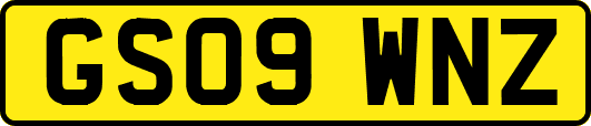 GS09WNZ