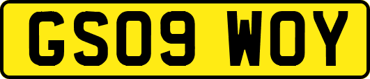 GS09WOY