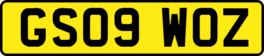GS09WOZ