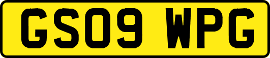 GS09WPG