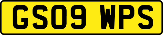 GS09WPS
