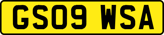 GS09WSA