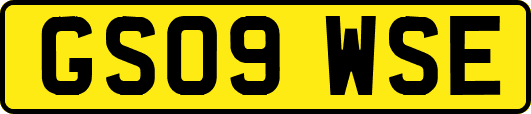GS09WSE