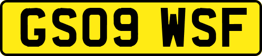 GS09WSF