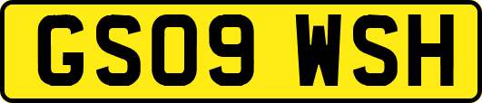 GS09WSH