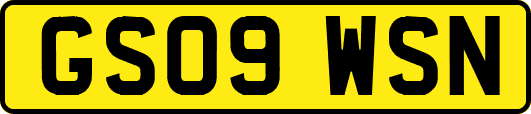 GS09WSN
