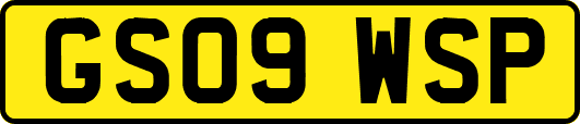 GS09WSP