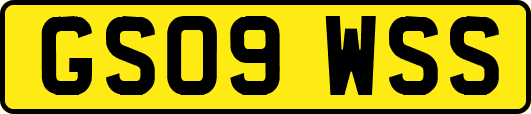 GS09WSS
